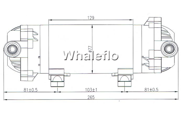 whaleflo 24V 600GPD