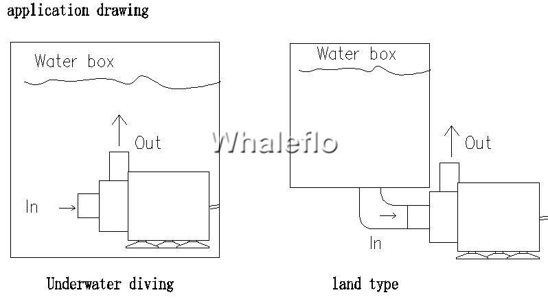 Whaleflo DC Micro Pump Applicataion Drawing