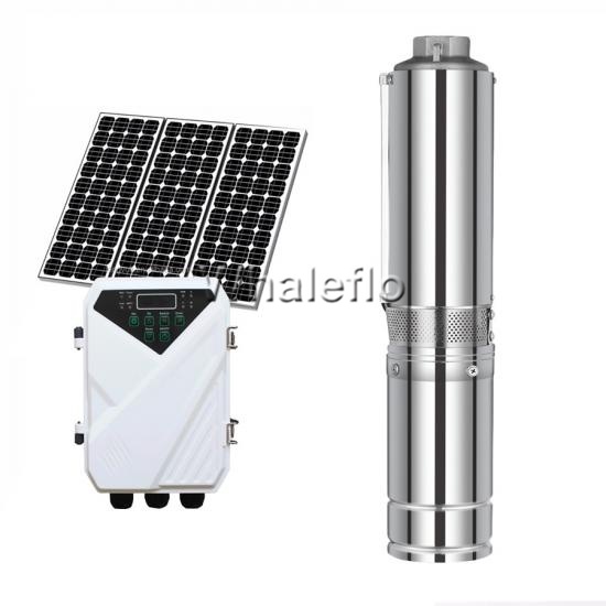 Kit de bomba solar de tornillo sin escobillas Whaleflo 1HP con controlador MPPT Max Head 150M Max Flow 2000LPH

