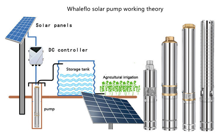 Nueva bomba solar Whaleflo con controlador MPPT
